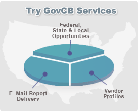 Government Bid, Contract, Contracts, Bids