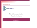 3D HOLDINGS LLC