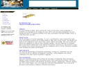 A1 SYSTEMS INC.