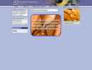 ACG ENTERPRISES INC