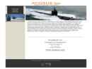 ACQSUS INC ACQUISITION & SUSTAINMENT INCORPORATED