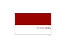 ARANEA SOLUTIONS INC