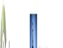 BAMBOO SOLUTIONS CORPORATION
