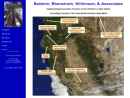 BALDWIN, BLOMSTROM, WILKINSON, & ASSOCIATES, INC.