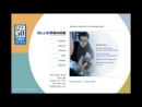 BLUE SHOE TECHNOLOGIES