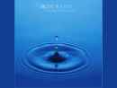 BLUE WATER TECHNICAL SERVICES, LLC