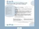 BOONERANG CONSULTING, LLC