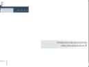 BORRELLI & PARTNERS, INC