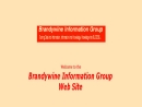 Brandywine Information Group
