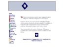 BRUNER CONSULTING ASSOC INC