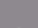 Sport Supply Group, Inc.