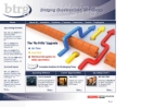 BUSINESS & TECHNOLOGY RESOURCE GROUP INC, THE