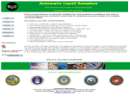 BVS INC