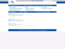 CAE USA MISSION SOLUTIONS INC