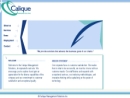 CALIQUE MANAGEMENT SOLUTIONS, INCORPORATED