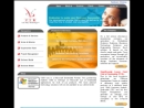 VSM INC