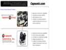 CAPSONIC AUTOMOTIVE, INC.