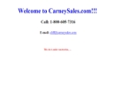 CARNEY SALES CO INC