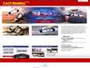HOLDEN DEVELOPMENT & MARKETING