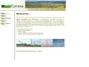 CATENA CONSULTING LLC