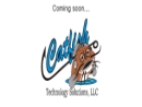 Catfish Technology Solutions LLC