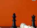 CHANTICLEER SOLUTIONS LLC