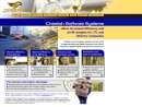CHEETAH SOFTWARE SYSTEMS INC