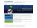 CO-NEXUS COMMUNICATION SYSTEMS, INC.