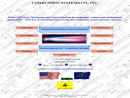COMBUSTION SYSTEMS CO INC