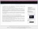 WEBSITE AND SOFTWARE ENGINEERING INCORPORATED