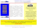 CAA CONSULTING GROUP INC