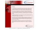 CONSORTIUM INC, THE