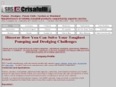 SRS CRISAFULLI INC