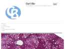 CURL BIO LLC