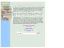 Custom Web Consulting