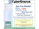 CYBERGNARUS LLC