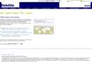 DELOITTE CONSULTING