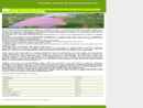 DUBOIS INSTITUTE FOR ENTREPRENEURSHIP, INC, THE