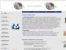 THE DISC JOCKEY COMPANY