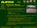 DLM LABOR SERVICES, INC.