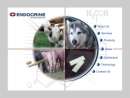 ENDOCRINE TECHNOLOGIES, INC.
