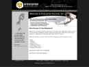 ENTERPRISE SECURITY INC