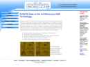EVISIVE LLC