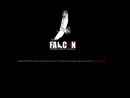 FALCON, PROFESSIONAL SECURITY AND TRAINING LLC
