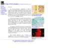 FD NEUROTECHNOLOGIES CONSULTING & SERVICES, INC.