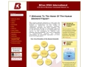 BCon WSA International, Inc. (formerly Will Schutz Associates)