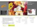 F  S COMMUNICATIONS INC
