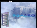 GALISO, INCORPORATED