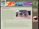 GEOTECHNICAL & ENVIRONMENTAL SERVICES INC