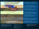 GIS & ENVIRONMENTAL MANAGEMENT TECHNOLOGIES, LLC